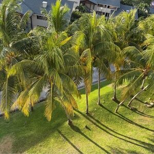 Meet your Posher, Elmira